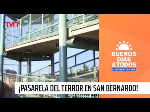 ¡Pasarela del terror en San Bernardo! | Buenos días a todos