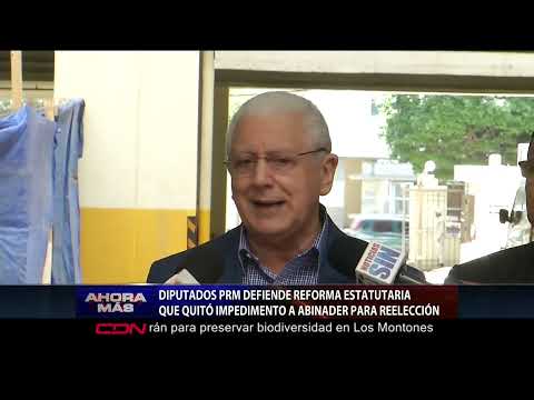 Diputados PRM defienden reforma estatutaria que quitó impedimento a Abinader para reelección