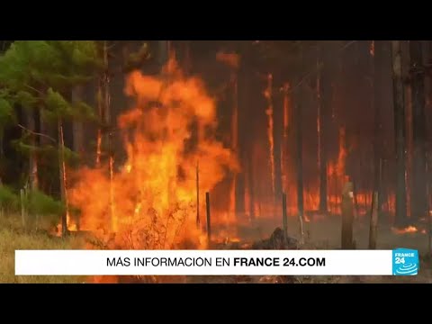 Incendios forestales en Argentina y Paraguay agravados por las altas temperaturas