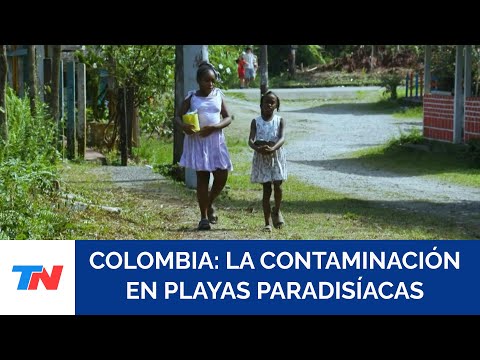 Monedas de plástico alimentan la economía sustentable en playas paradisíacas de Colombia