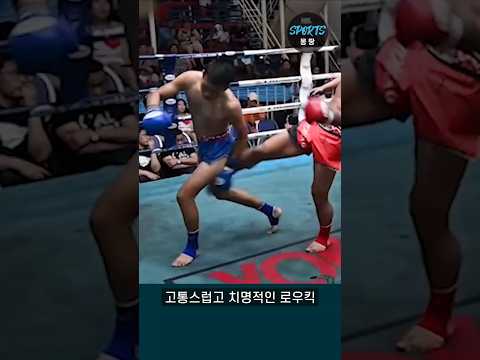 가장 고통스러운 로우킥 (Mosr painful low=kick)