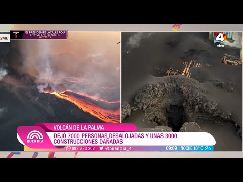 Buen Día - Isla Canaria de la Palma: La recuperación tras intensa actividad volcánica