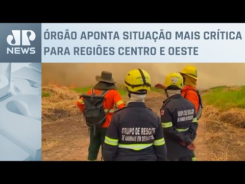 Defesa Civil aponta risco alto de incêndio em São Paulo