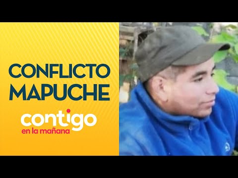 PABLO MARCHANT: ¿La Convención debe intervenir en conflicto mapuche - Contigo en La Mañana