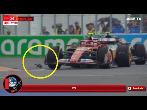 ¡Increíble! Marmota casi hace chocar a Sainz y Lewis Hamilton en la FP2 del GP de Canadá