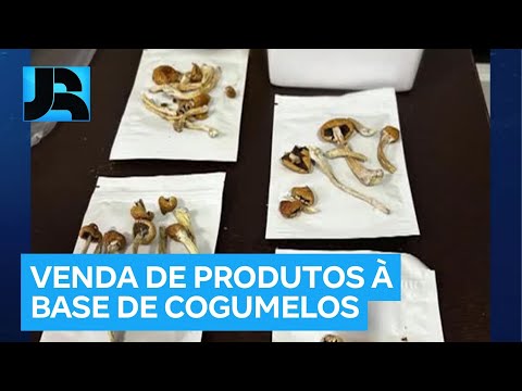 Polícia descobre laboratório de cogumelos alucinógenos em escritório de advocacia em Goiânia (GO)