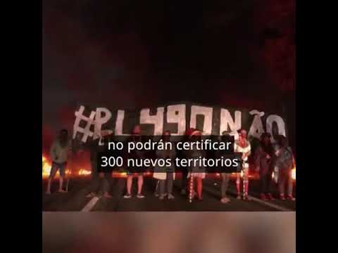 Indígenas protestan con arco y flecha en Brasil - Telemedellín