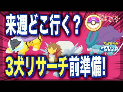 来週どこ行く？ライコウ・エンテイ・スイクンリサーチの前に準備すること！【ポケモンスリープ】