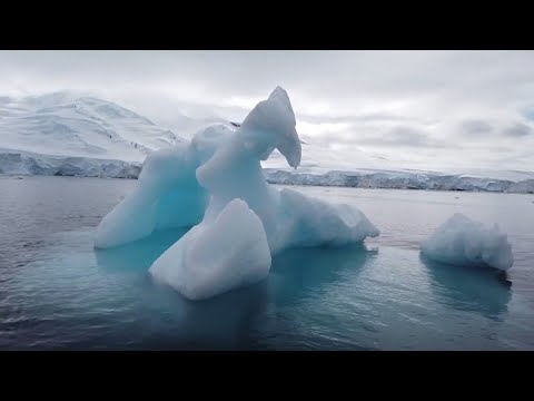 Día de la Tierra: Antártida disminuyó 2 millones de kilómetros cuadrados