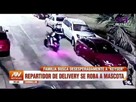 Chorrillos: Repartidor de delivery ve a mascota en la calle y se la roba
