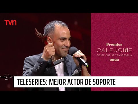 Categoría teleseries: Mejor actor de soporte | Premios Caleuche 2023