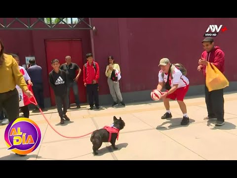 Perrito futbolista Blacky se roba el show en las afueras de la Videna