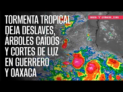 Tormenta tropical deja deslaves, árboles caídos y cortes de luz en Guerrero y Oaxaca