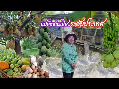 แปลงชนะเลิศระดับประเทศ🧑‍🌾เริ่ม