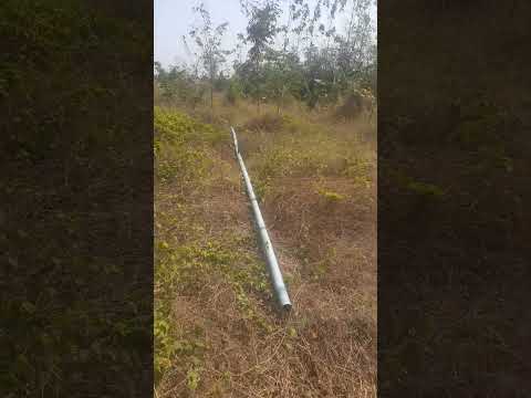 เกิดต้นไม้ผมมันอดทนให้น้ำไม้ป