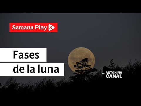 Fase lunar: cuándo iniciar y cerrar proyectos | Antonina Canal en Sí Puedo y es Fácil - Semana Play