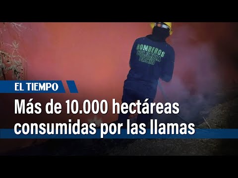 Más de 10.000 hectáreas arrasadas por incendios: emergencia en Colombia | El Tiempo