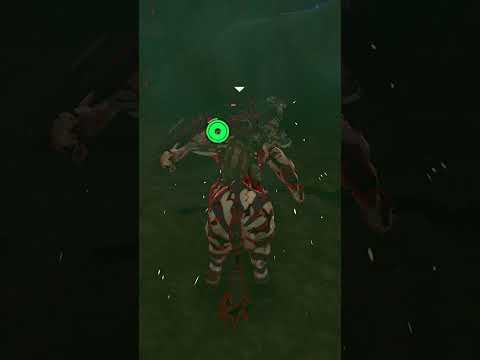 【ティアキン】ハイラル城地底付近のライネル　ゼルダの伝説ティアーズオブ ザキングダムNintendo Switch 2 Edition #zelda #shorts