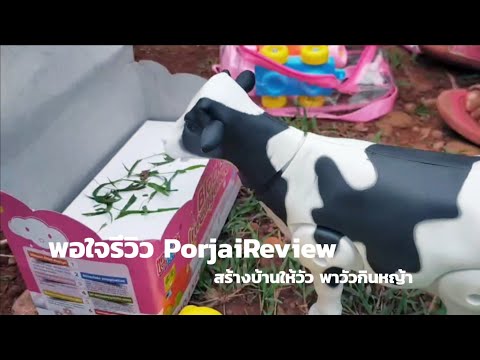 พอใจรีวิว-วัว-cow-สร้างบ้านให้ พอใจรีวิว-วัว-cow-สร้างบ้านให้