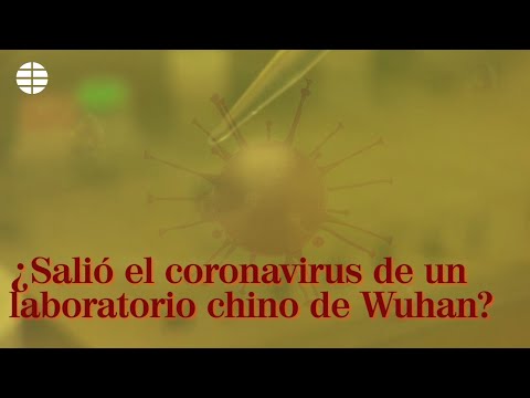 ¿Salió el coronavirus de un laboratorio chino de Wuhan
