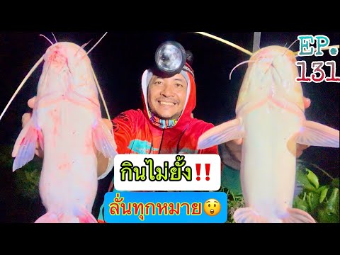 กินไม่ยั้ง‼️ลั่นทุกหมาย😲🎣ตกปล