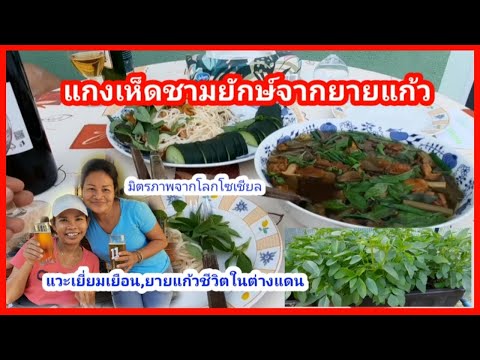 คนไทยในต่างแดนกินแกงเห็ดชามให