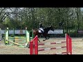 Show jumping horse betrouwbaar springpaard