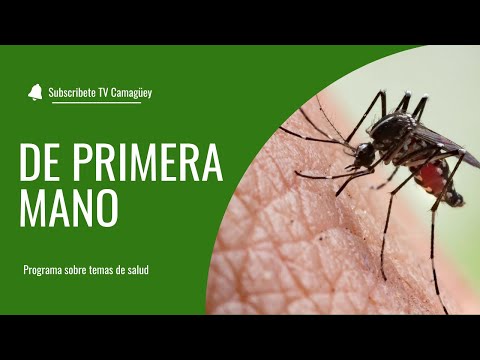 Paludismo/ Salud/ Televisión Camagüey