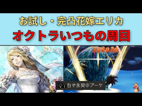 【オクトパストラベラー大陸の覇者】完凸花嫁エリカ オクトラ周回【OCTOPATH TRAVELER CotC】
