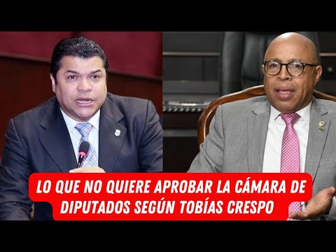 LO QUE NO QUIERE APROBAR LA CÁMARA DE DIPUTADOS SEGÚN TOBÍAS CRESPO