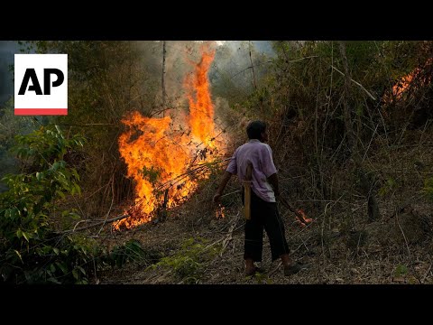 Thailand's tried for years to solve its pollution problem, but 'haze season' always comes back