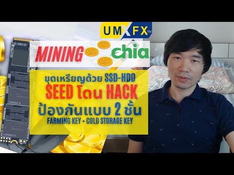 ขุดเหรียญ-Chia-ยังไงให้ปลอดภัย ขุดเหรียญ-Chia-ยังไงให้ปลอดภัย