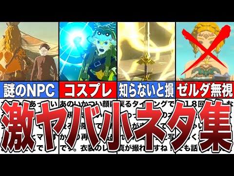 【ティアキン】知れば知るほど面白い小ネタ集【ゼルダの伝説ティアーズオブザキングダム/ティアキン】【ゆっくり解説】【総集編】【作業用】