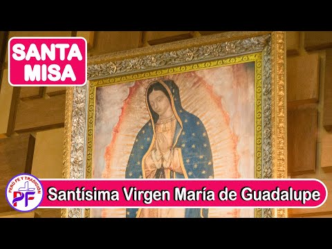 Santa Misa De Hoy 9/05/2021 Basílica Santa María de Guadalupe Eucaristía y Oración