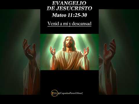 EVANGELIO DE HOY   Sábado 05 de Octubre 2024 ? Reflexio?n, Mensaje y Bendicio?n del Di?a