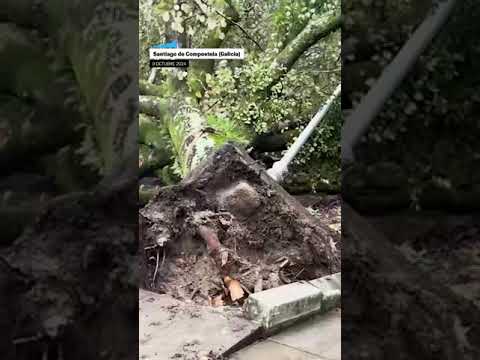 La borrasca KIRK provoca inundaciones y cortes de carreteras en el norte de España #shorts