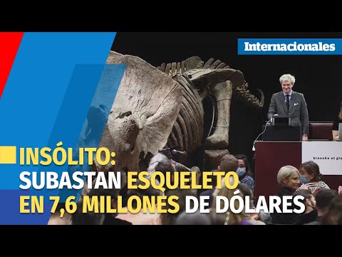 Subastado el esqueleto de un gran triceratops por 6,65 millones de euros