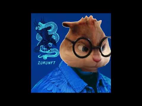 Vergesse nie die Street (Chipmunk Version)