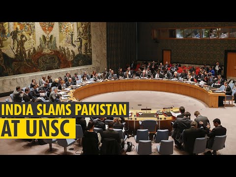 India's envoy at UNSC slams Pakistan: 'We have leaders who continue to defend Osama as a martyr'