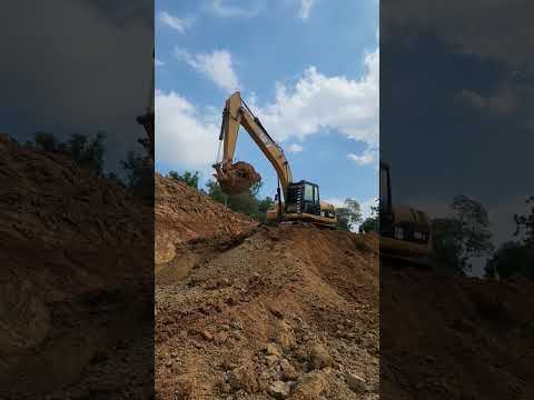 Cat320dgcเจ้าฟันปีศาจ