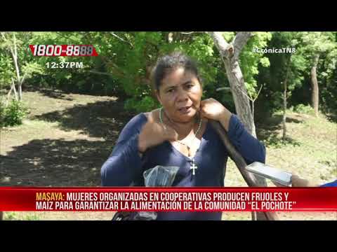 Productores de Masatepe garantizan el maíz y los frijoles - Nicaragua