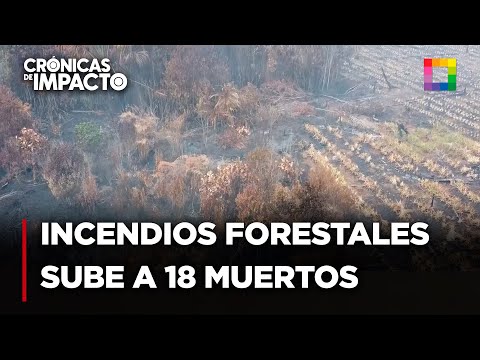 Crónicas de Impacto - SET 19 - INCENDIOS FORESTALES, NÚMERO DE FALLECIDOS SUBE A 18 | Willax