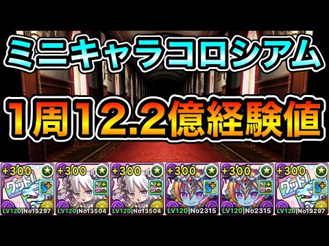 【パズドラ】1周12.2億経験値！ミニキャラコロシアム！みにまむぱらだいす！1周4分10~20秒台！ガチャどら編成でランク上げ周回！