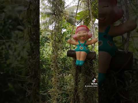 สวนข้างบ้าน-|-the-garden-besi สวนข้างบ้าน-|-the-garden-besi