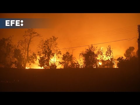 Varias víctimas en múltiples incendios simultáneos registrados en el centro de Chile