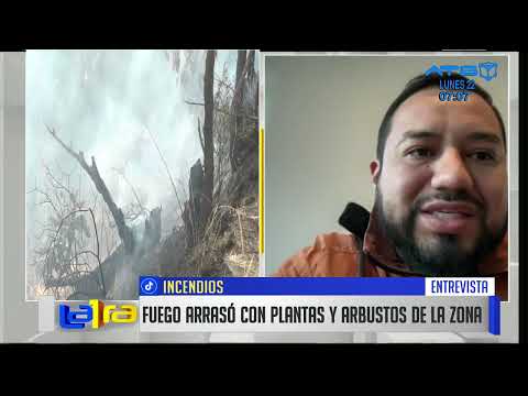 Cochabamba: brigadas comunales coadyuvan en la sofocación de incendios forestales