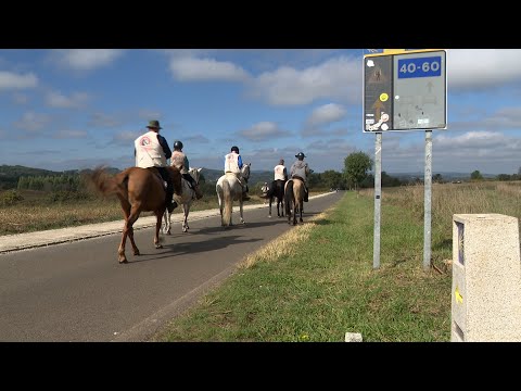 A pedal o a caballo también se llega al Obradoiro: miles de peregrinos eligen alternativas a ca