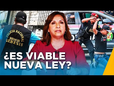 ¿Es viable la ley de terrorismo urbano? Conoce la propuesta del gobierno peruano contra el crimen