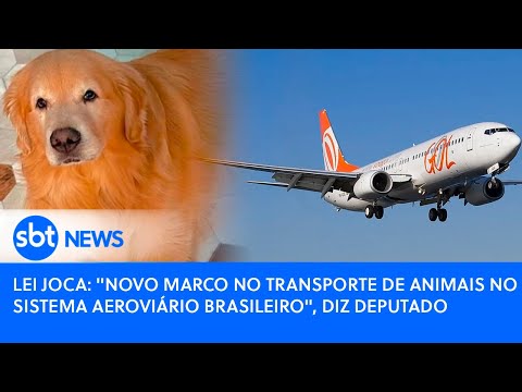 Lei Joca: Novo marco no transporte de animais no sistema aeroviário brasileiro, diz deputado