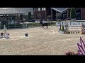 Show jumping horse Elite, goed springende 1.40 Kannan merrie